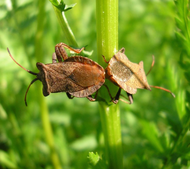 Чудесного дня и отличного настроения прикольные