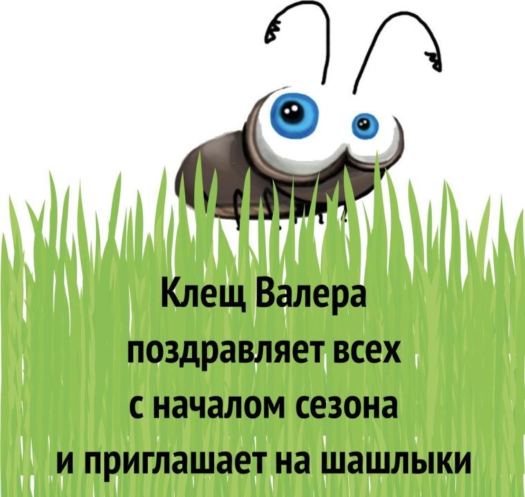 Есть только ты и я клещ