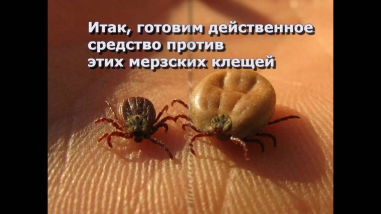 Есть только ты и я и я Мем