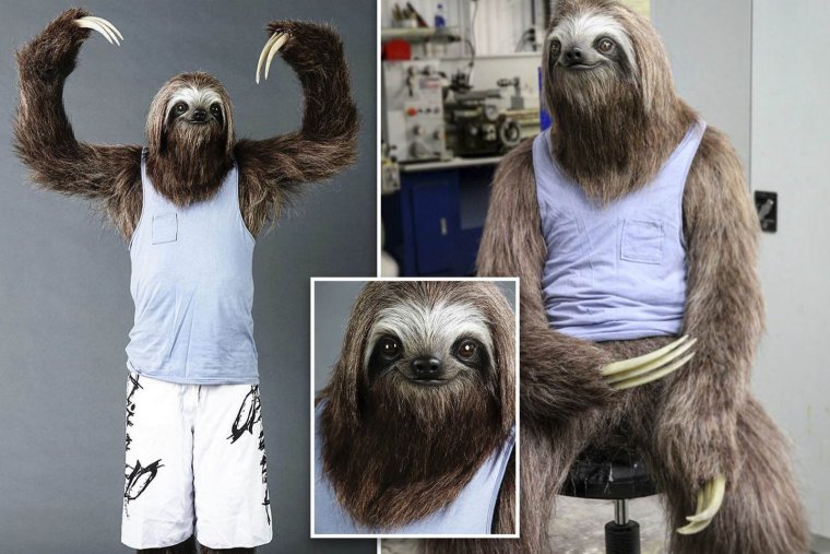 Ленивец прикол