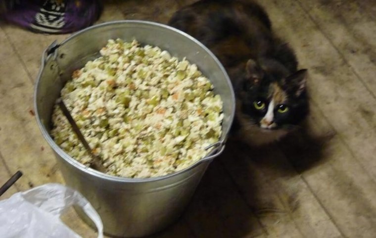 Тазик салата