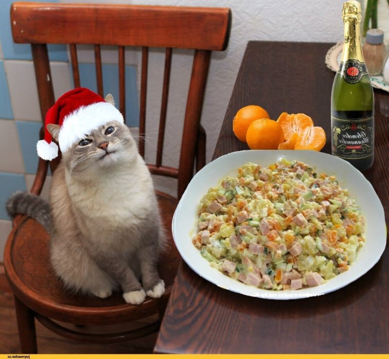 Прикольный новогодний стол