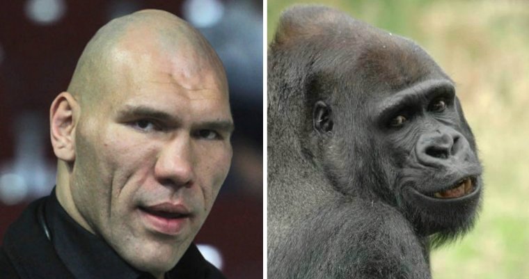 Николай Воркуев обезьяна