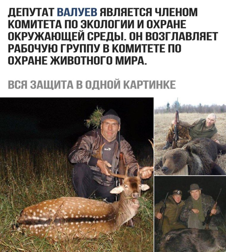 Валуев с убитым животным