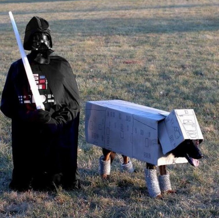 Звездные войны смешные моменты