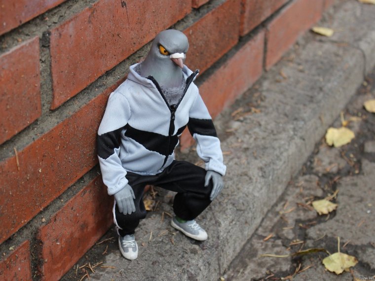 Застолье алкоголиков