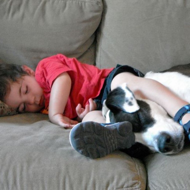 Ребенок спит с собакой