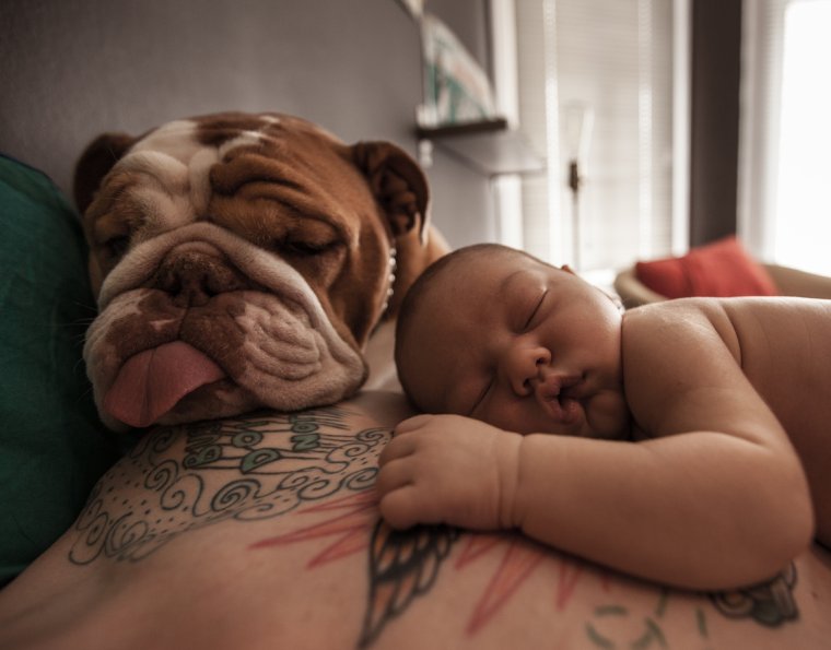 Спящие малыши с животными