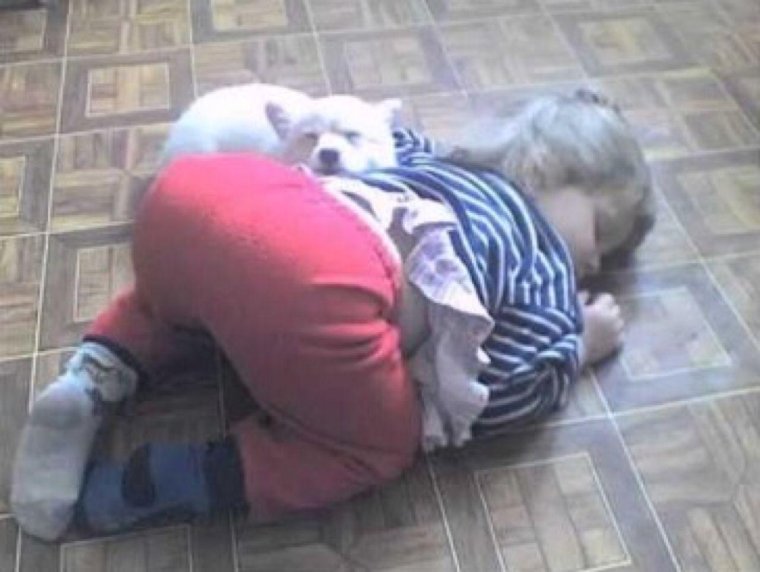 Смешные спящие животные с детьми