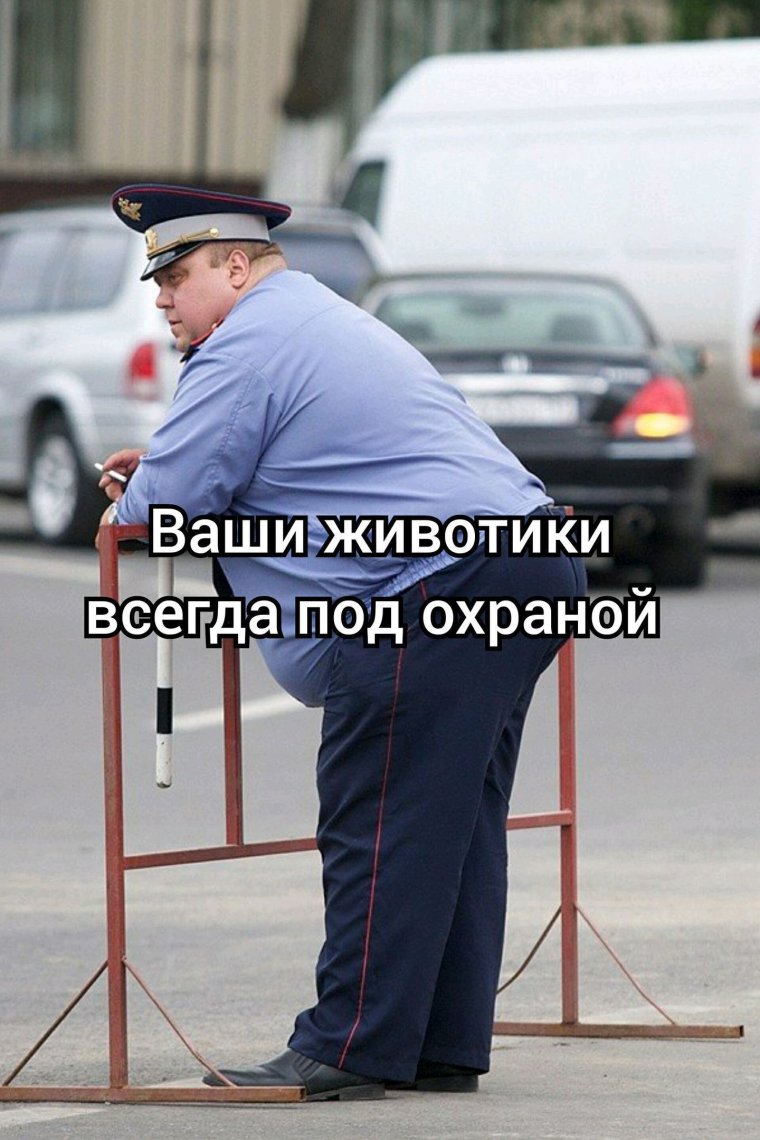 Жирный полицейский