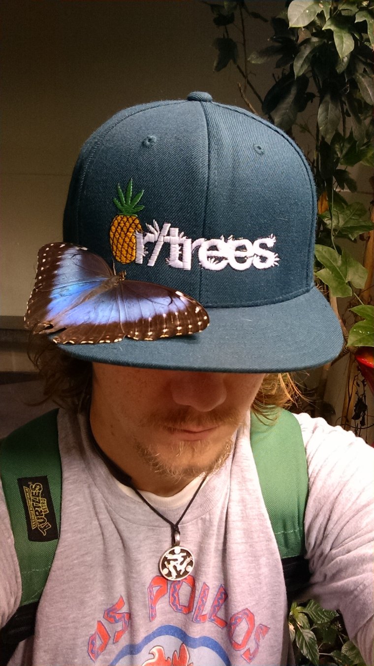 Смешные шляпы