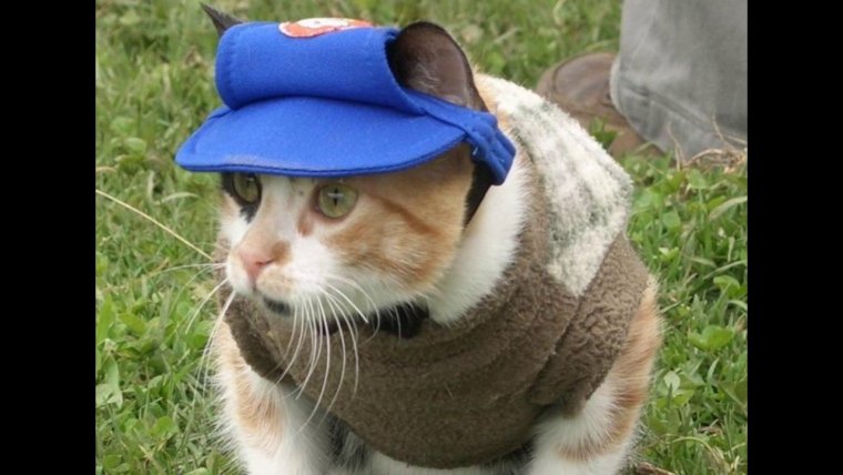 Угарные Кепки