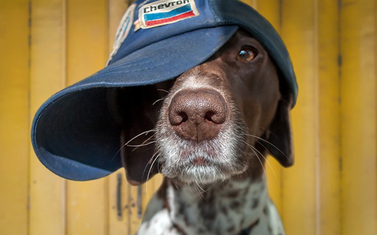 Осетинская кепка аэродром