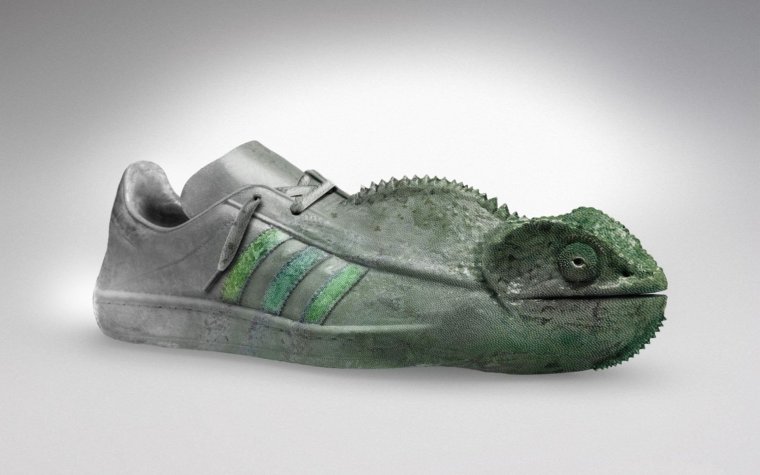 Необычная обувь