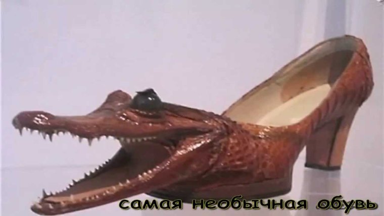 Смешные туфли женские