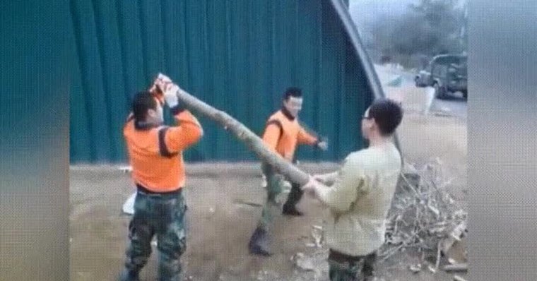 Таджик на осле