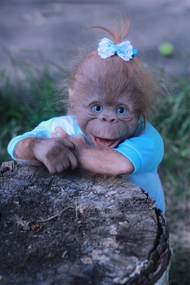 Маленькая смешная обезьянка