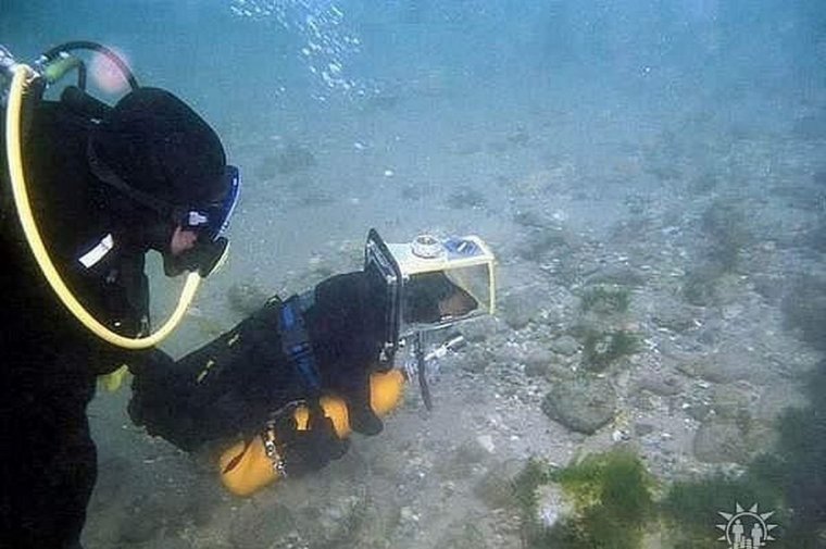 Такса аквалангист