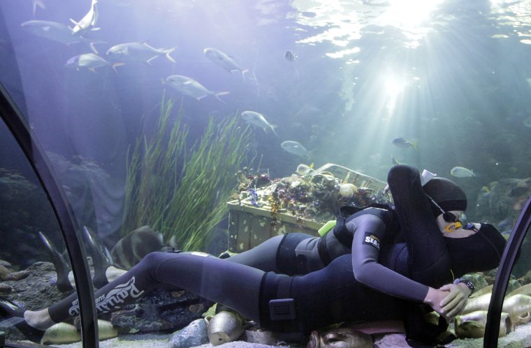 Аквалангист в аквариум
