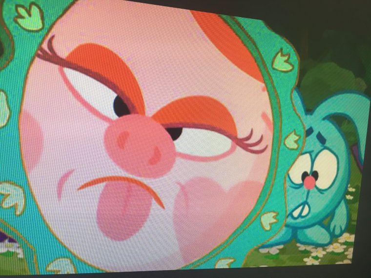 Совунья из смешариков