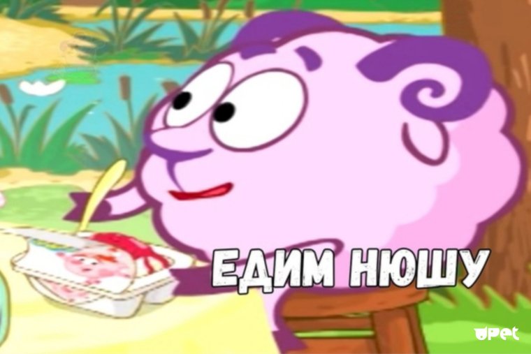 Мемы про смешариков