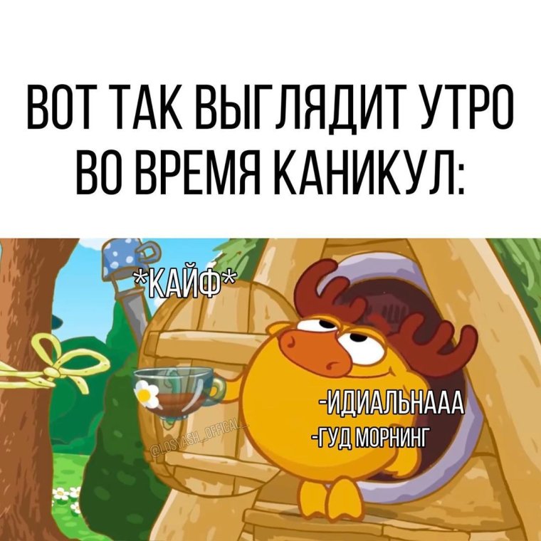 Сундук Совуньи