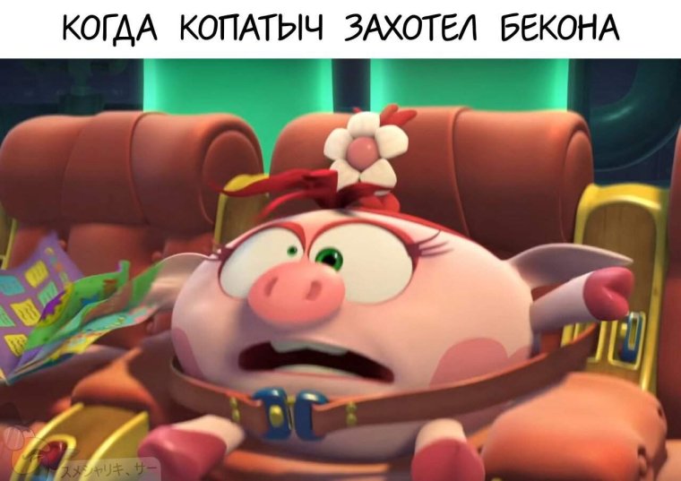 Мемы про смешариков