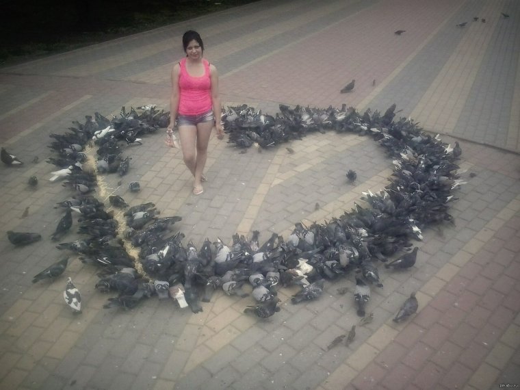 Романтика смешное