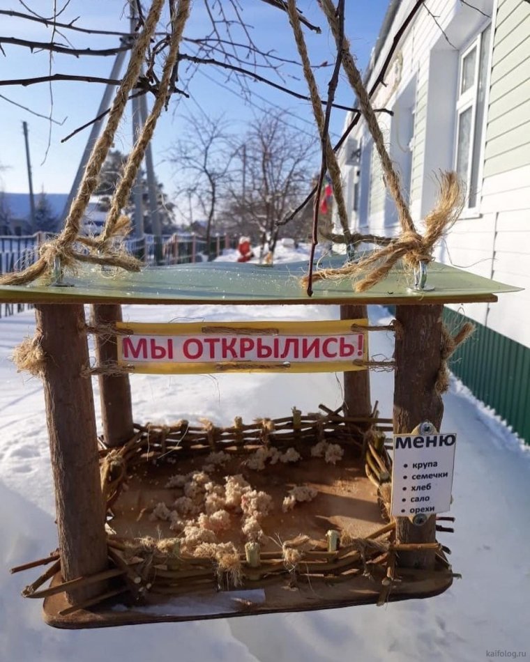 Кафе для птиц кормушка