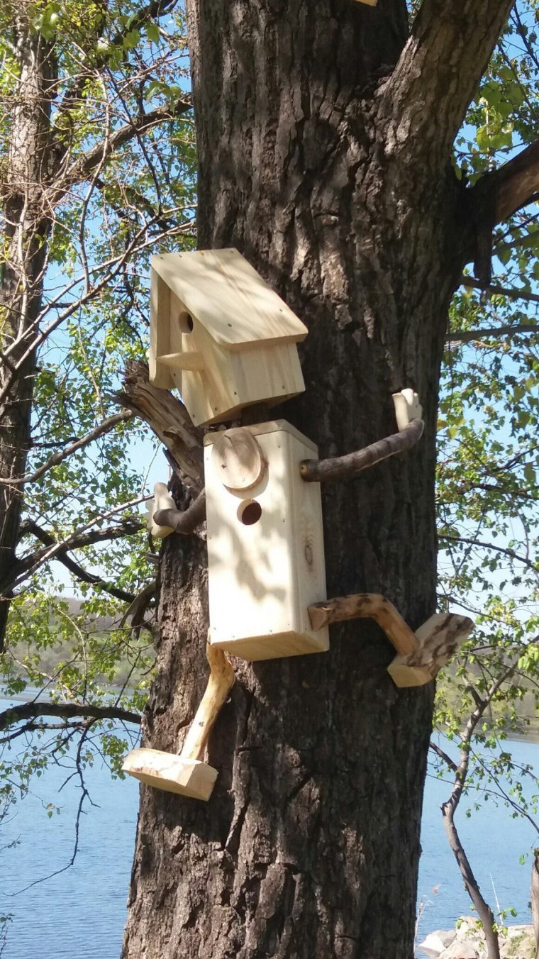 Смешные птичьи кормушки