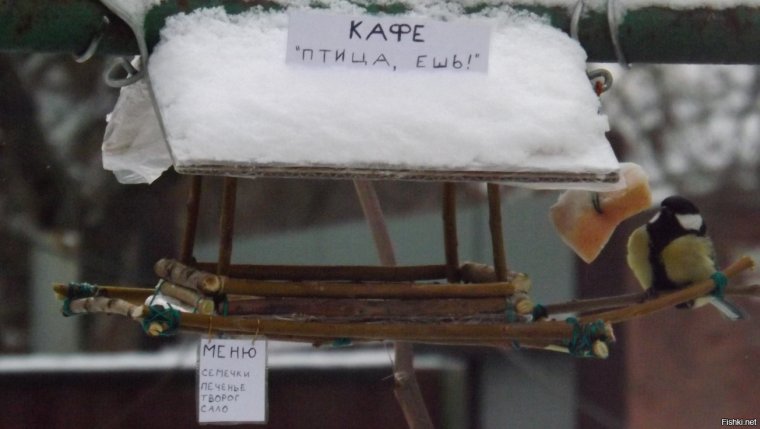 Кормушка для птиц прикол