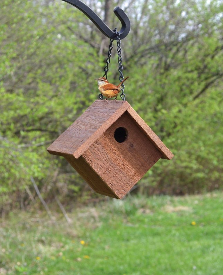 Оригинальные домики для белок