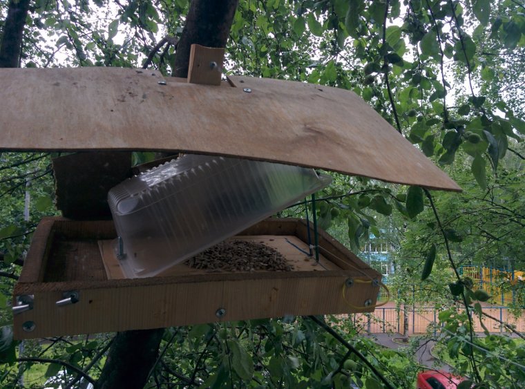 Птичка ждёт гостей смешные