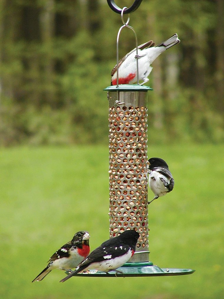 Смешные кормушки для птиц своими руками фото