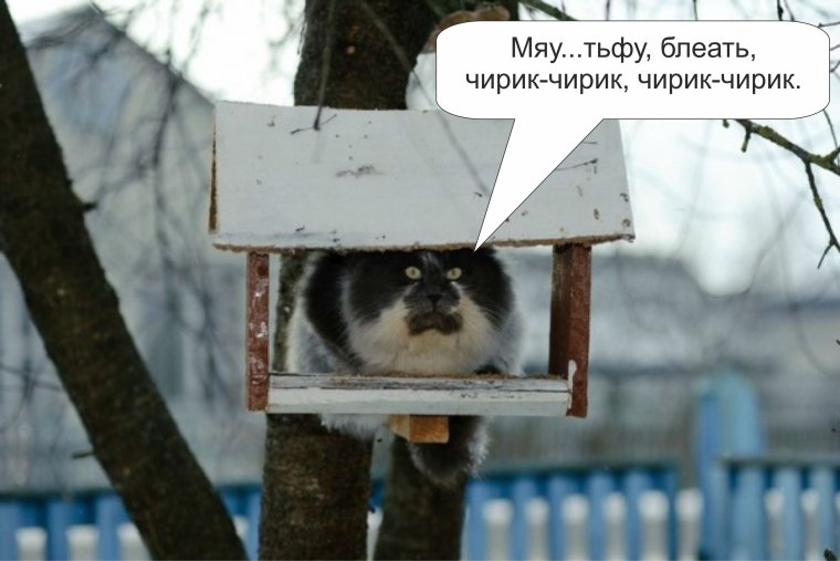 Защита скворечника