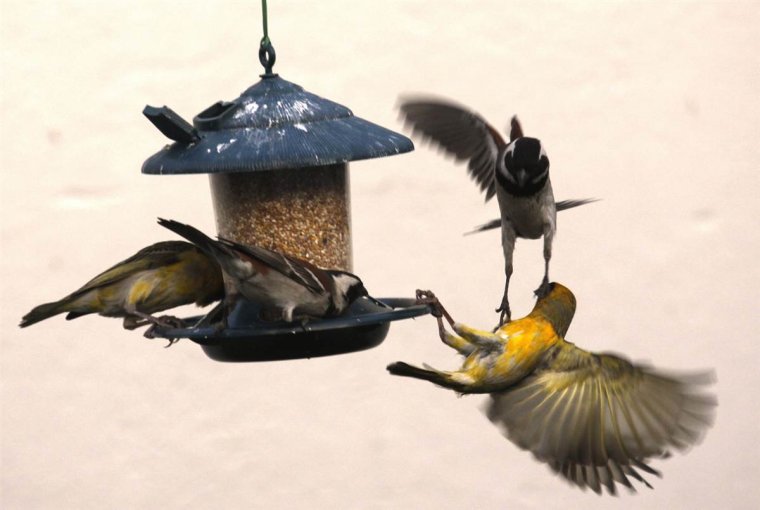 Кормушка для птиц Снеговик