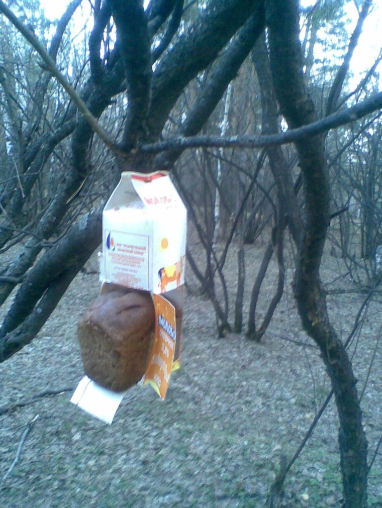 Депутат у кормушки приколы