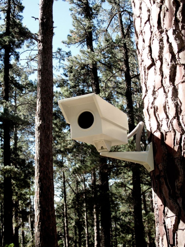 Кормушка из ботинка