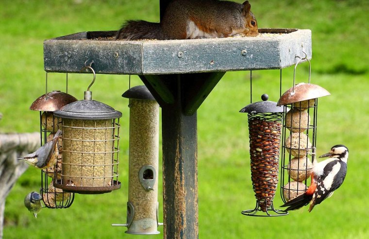 Прикольные кормушки