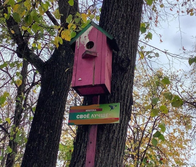 Челябинский скворечник