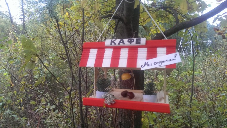 Прикольные кормушки