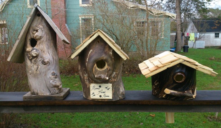 Кормушка для птиц прикол