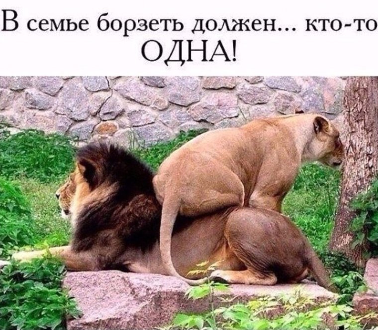 В семье борзеть должен кто-то одна