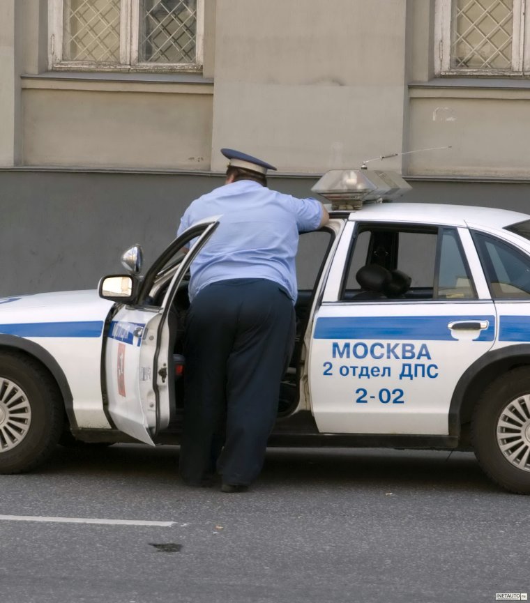 Толстый гаишник