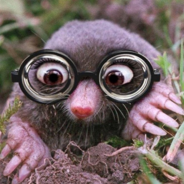 Слепой Крот