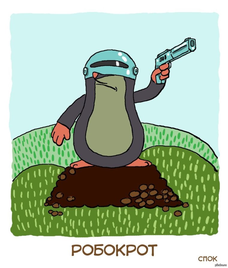 Звездорыл, или звездонос