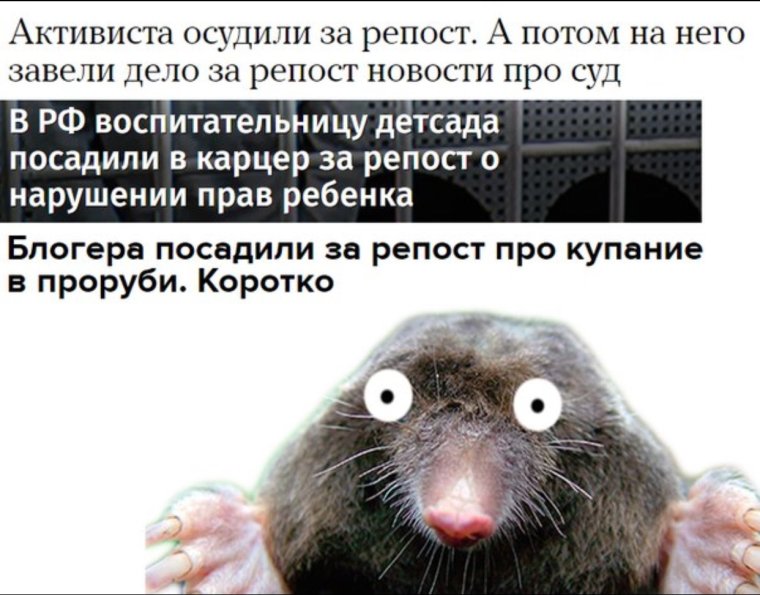 Смешной Крот