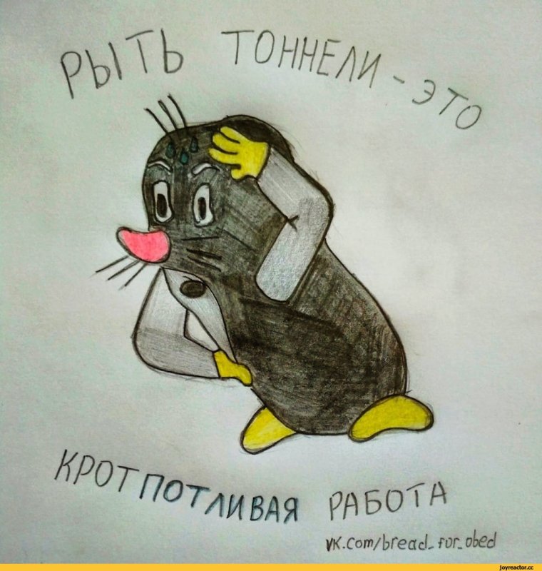 Крот Европейский обыкновенный