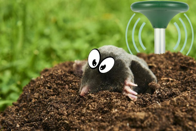 Крот с автоматом