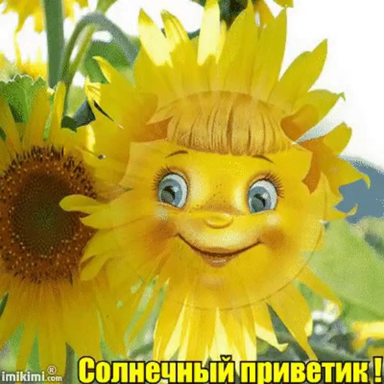 Приветик солнце